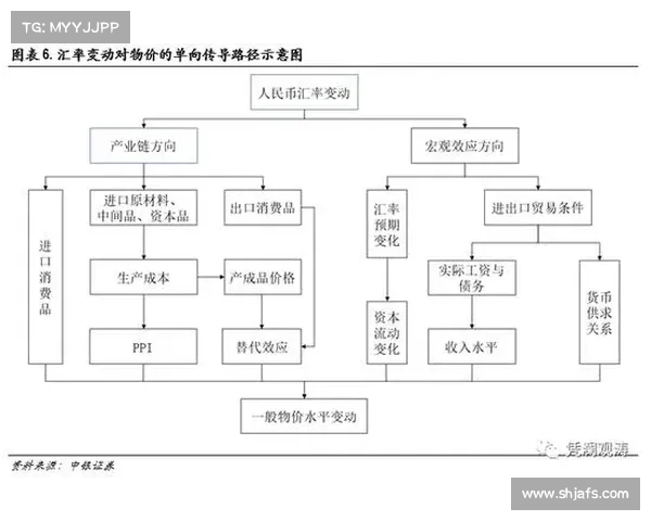 人民币原材料来源及其对中国经济影响的十大关键因素分析 人民币原材料来源及其对中国经济影响的十大关键因素分析