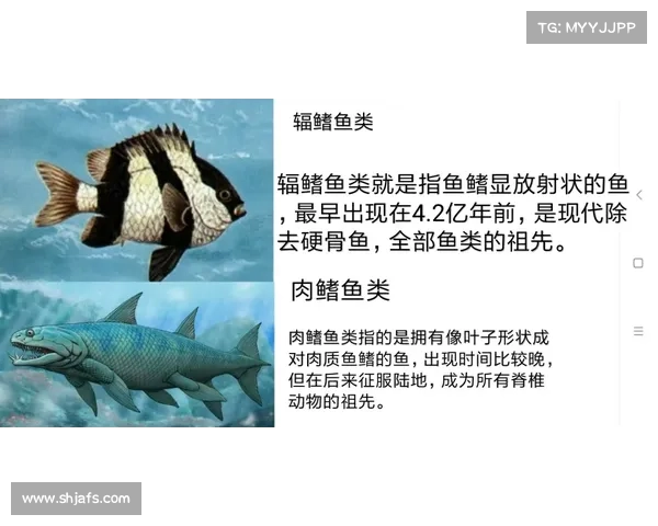 八种创新方法揭示古生物的奥秘与进化之路 八种创新方法揭示古生物的奥秘与进化之路